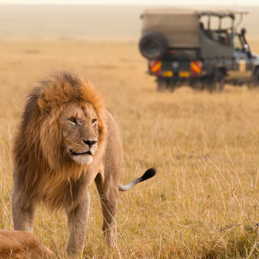 masai mara pic masai mara pic